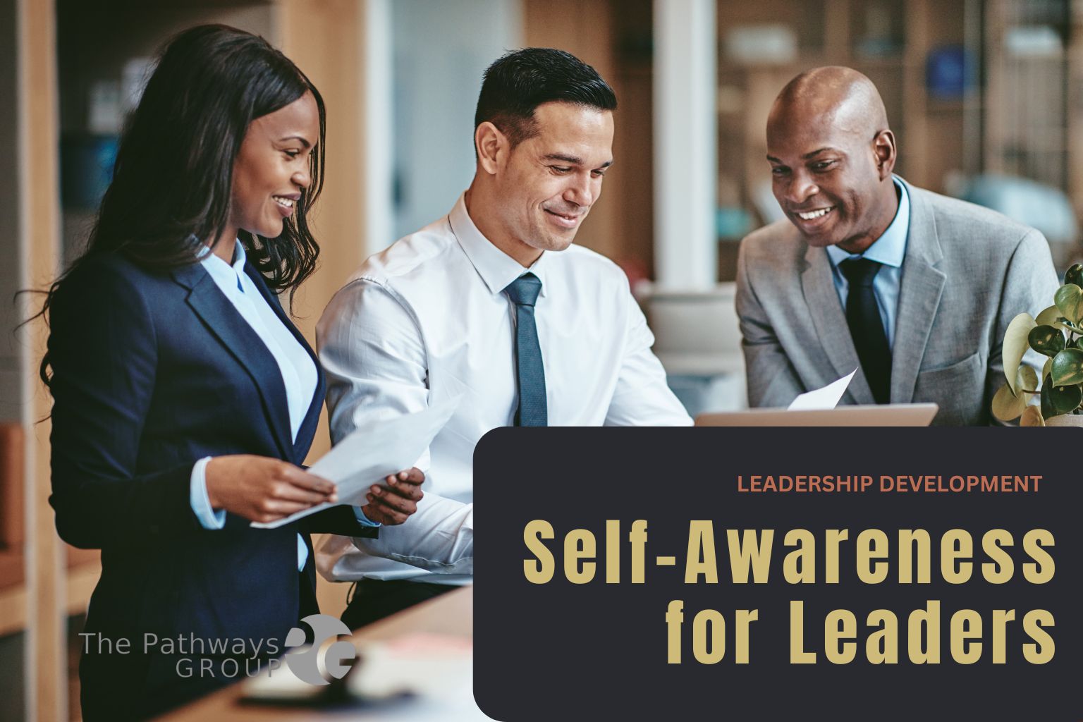 self-awareness product image