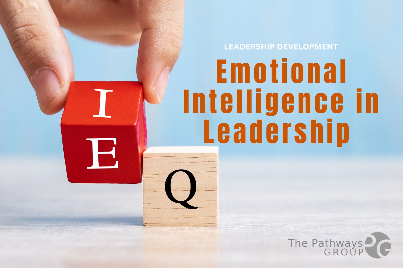 emotional intelligence product image