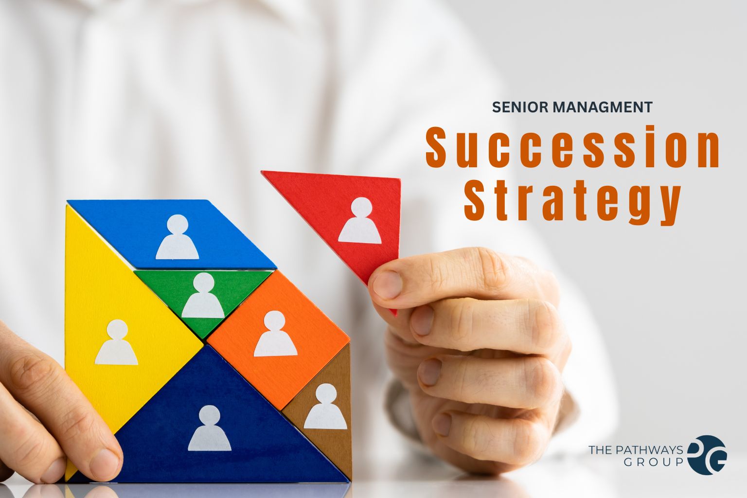 succession product image