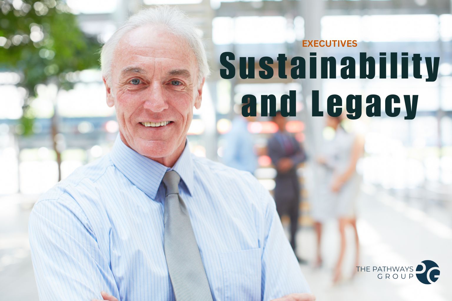 Sustainability and Legacy product image