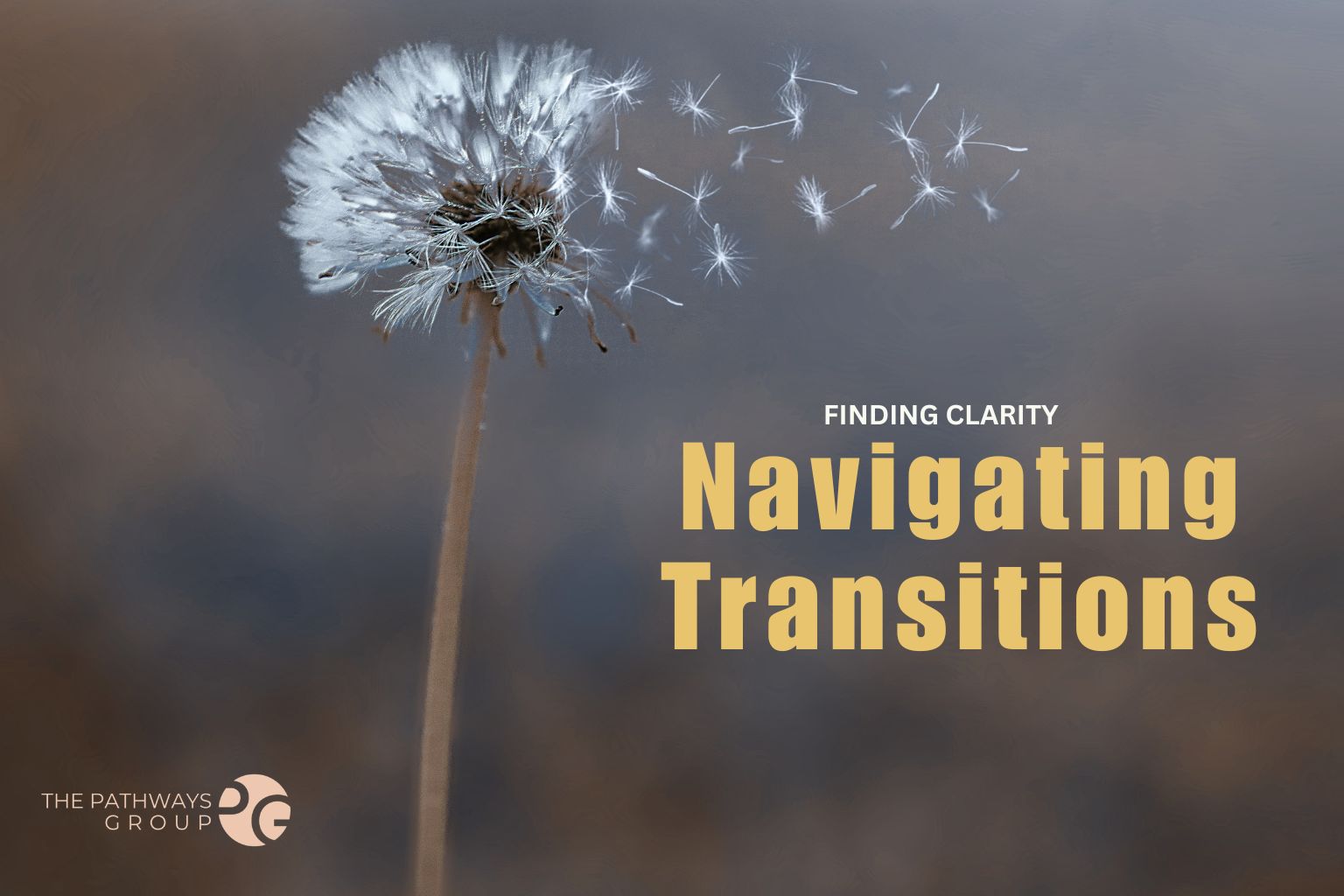 transitions product image