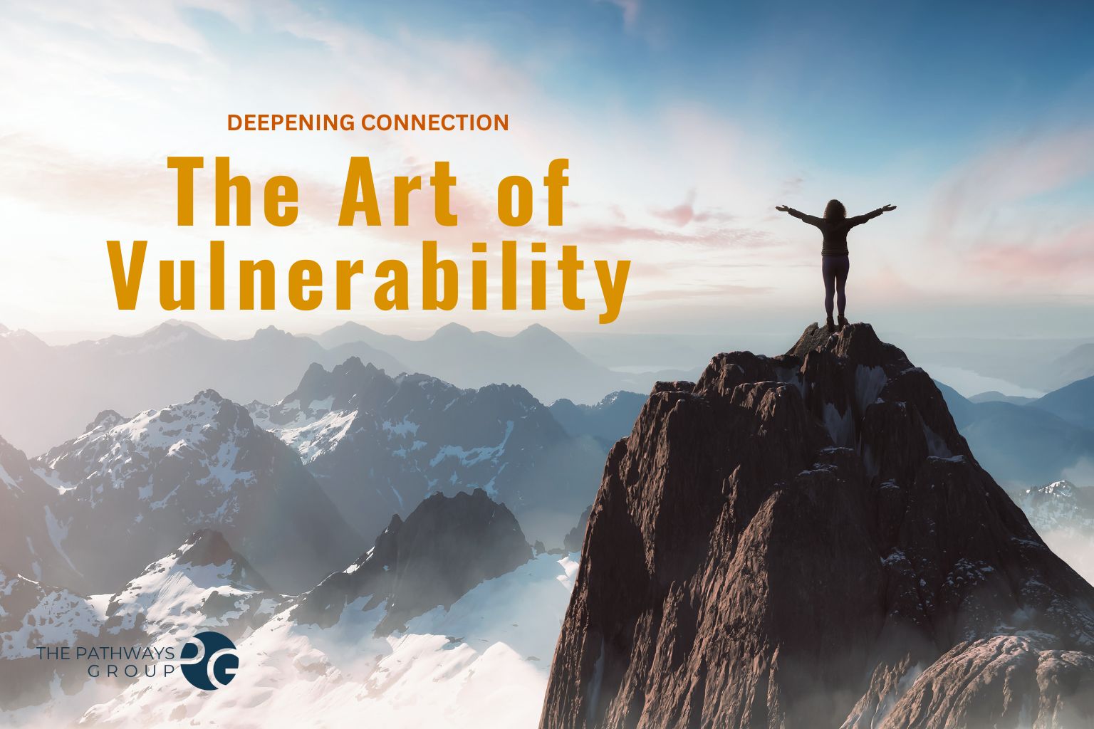 vulnerability product image
